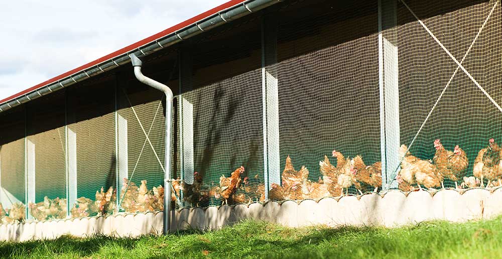 Montage von Hühnerställen im Oldenburger Münsterland